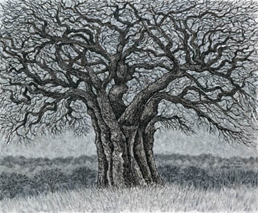 images/tree-of-wisdom-big.jpg