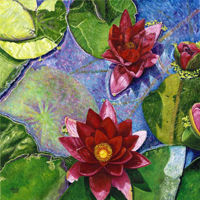 images//waterlillies-big.jpg
